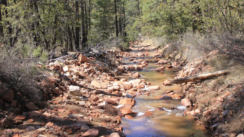 Arizona: Turkey Creek Hero Photo