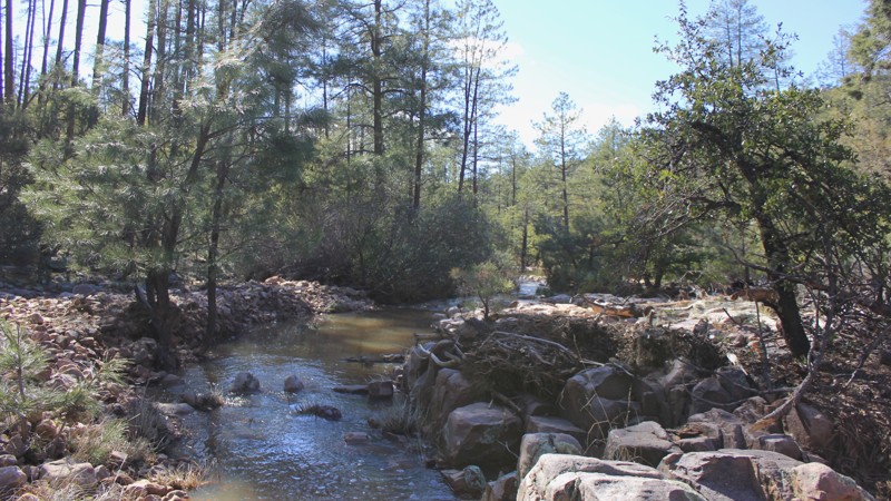 Arizona: Little Turkey Creek Hero Photo