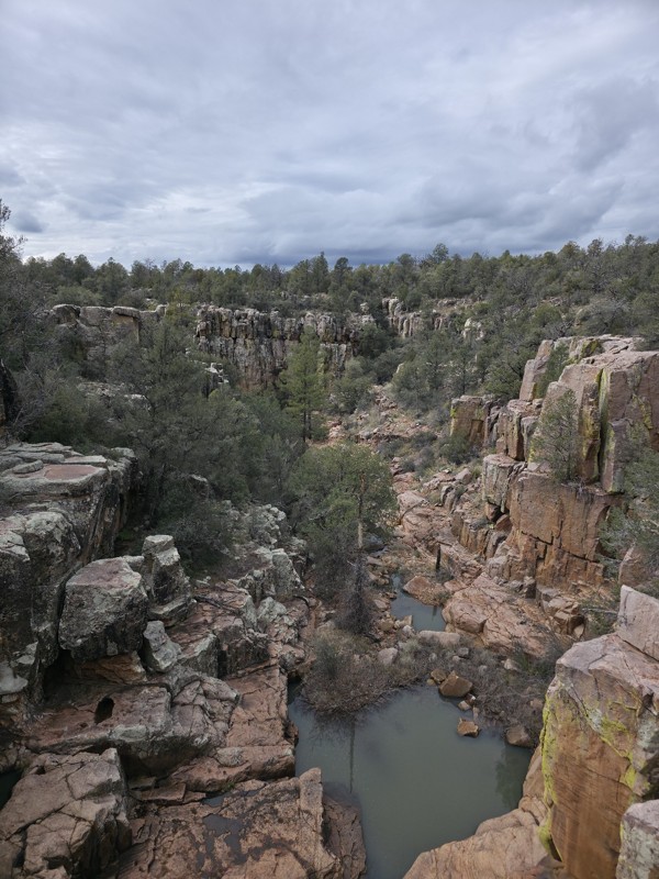 Little Turkey Creek Trail Review Photo