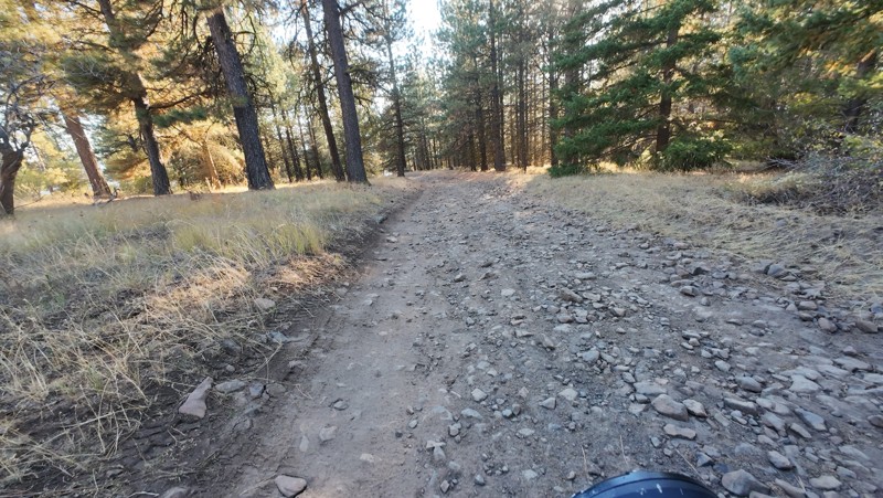 NF-1711 Trail Review Photo