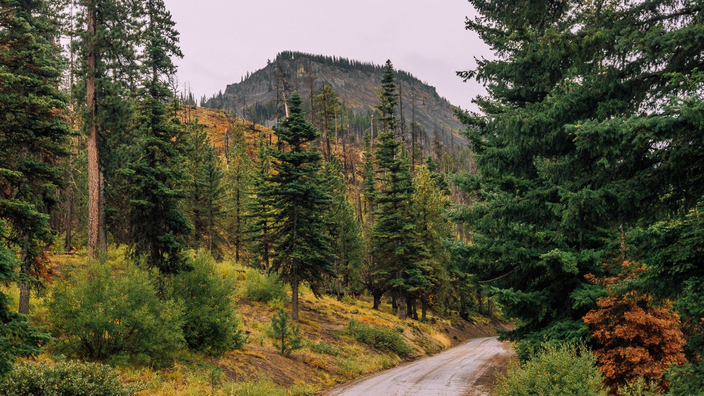 Swauk Meadow Road - Best Trails