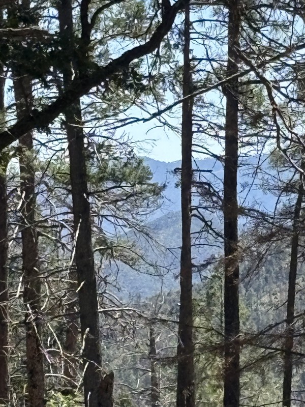 Poland Road Trail Review Photo