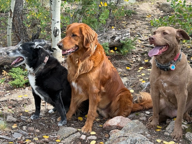 Pole Hill Trail Review Photo