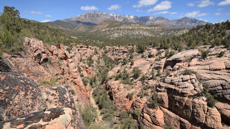 Utah: Cottonwood Springs Hero Photo