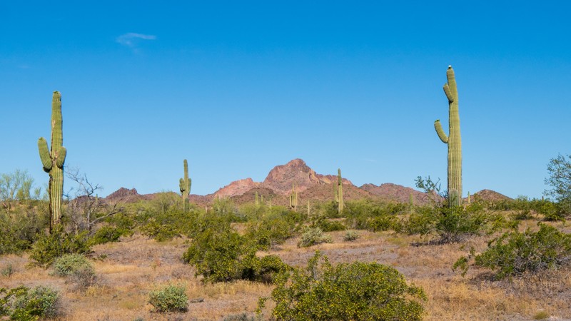Arizona: Woolsey Peak and Signal Mountain Wilderness Trail Hero Photo