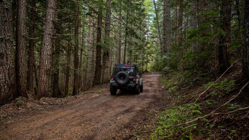 Washington: West Kachess Wetlands Hero Photo