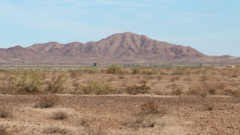 Lower Sonoran 8219 Trail Review Photo
