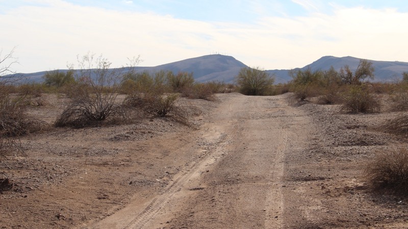 Lower Sonoran 8219 Trail Review Photo
