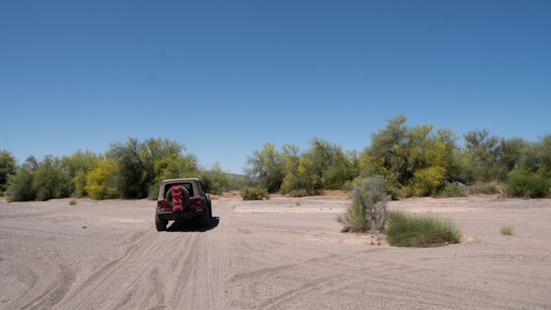 Arizona: Lower Sonoran 8219 Hero Photo