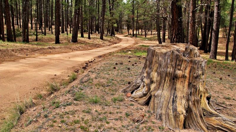 Arizona: Walnut Creek Hero Photo
