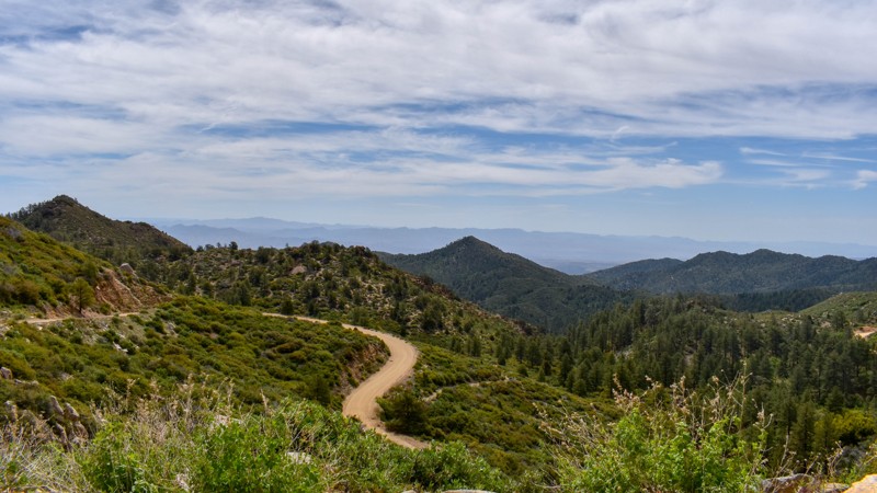 Flag Mine Road Trail Review Photo