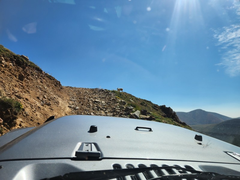 Radical Hill Trail Review Photo