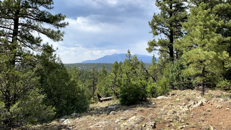 Arizona: Marshall Lake Hero Photo