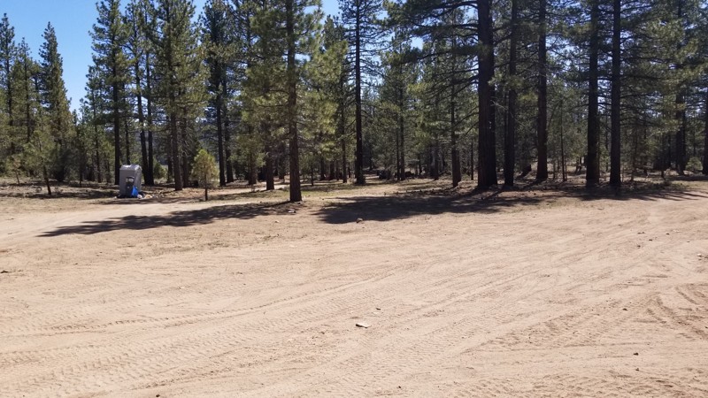California: Holcomb Valley Dispersed Camping Area Hero Photo
