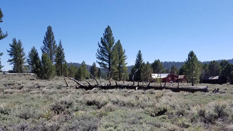 California: Holcomb Valley Farm and Camping Area Hero Photo