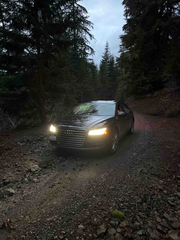 Amabilis Mountain Trail Review Photo