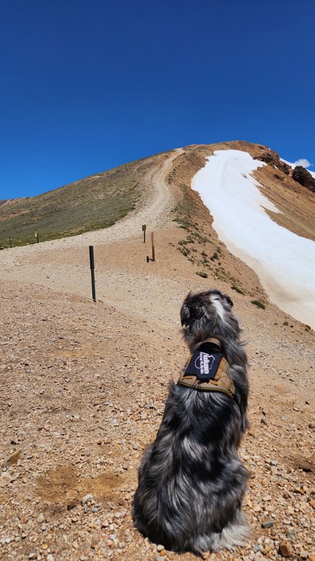 Trail Review: Red Cone - Ryan Boudreau