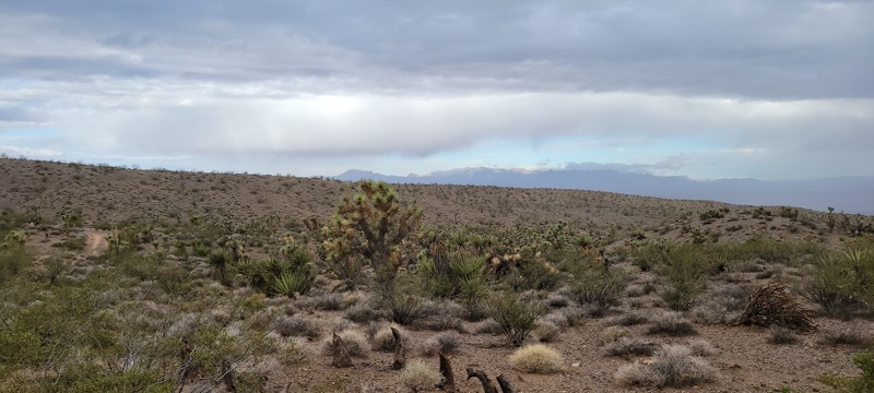 Bunkerville Ridge Trail Review Photo