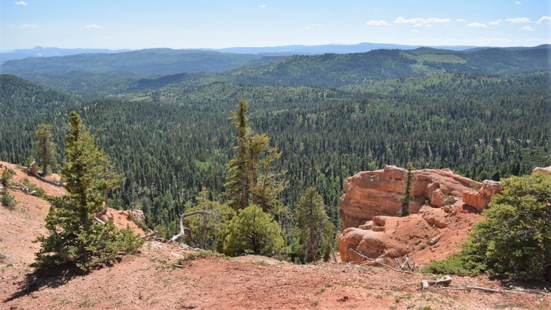 Utah: Cascade Falls Hero Photo
