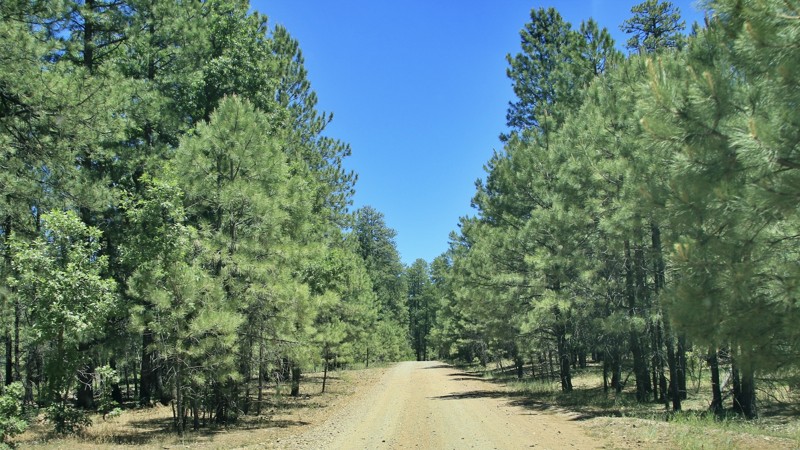 Arizona: FR 144 Hero Photo