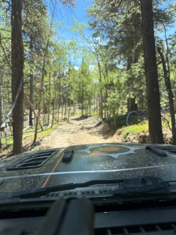 Red Elephant Hill Trail Review Photo