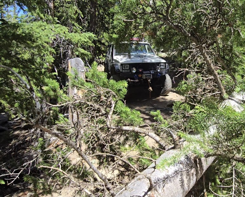 Red Elephant Hill Trail Review Photo