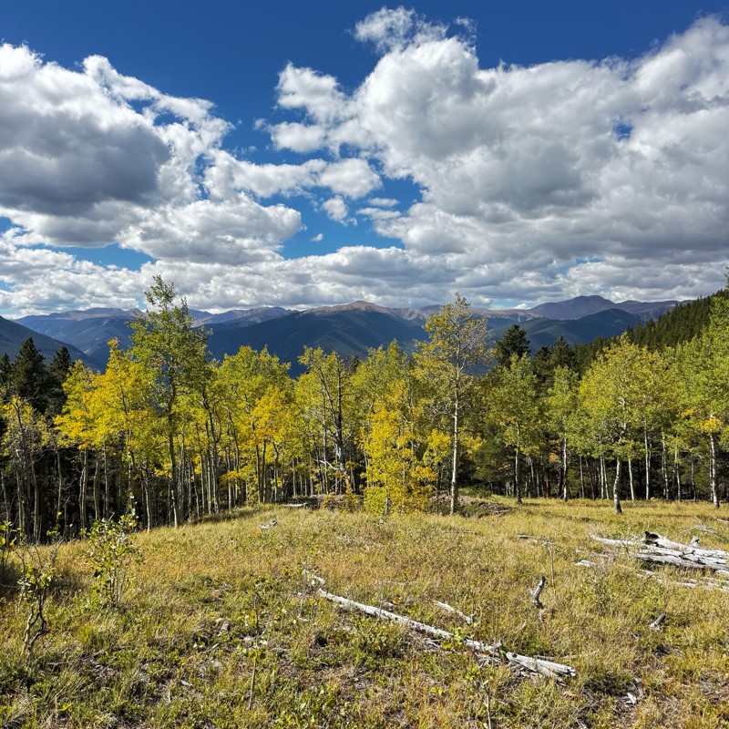 Red Elephant Hill Trail Review Photo