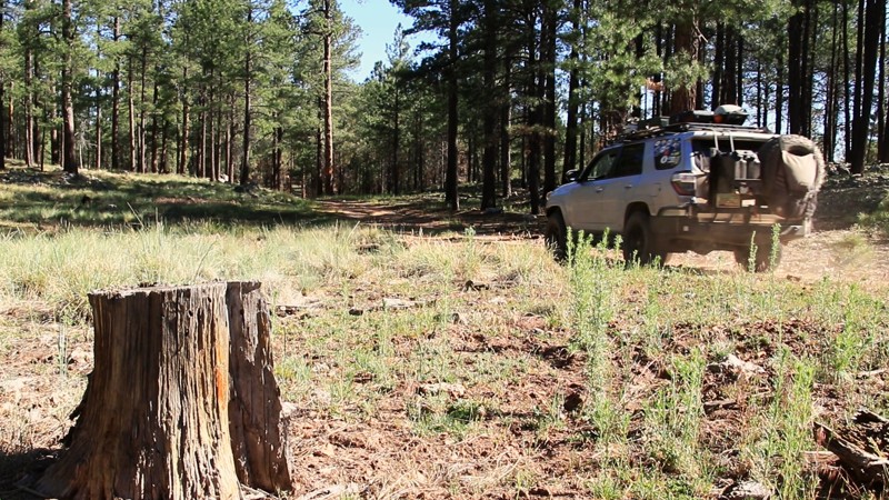 Arizona: Telephone Ridge Hero Photo