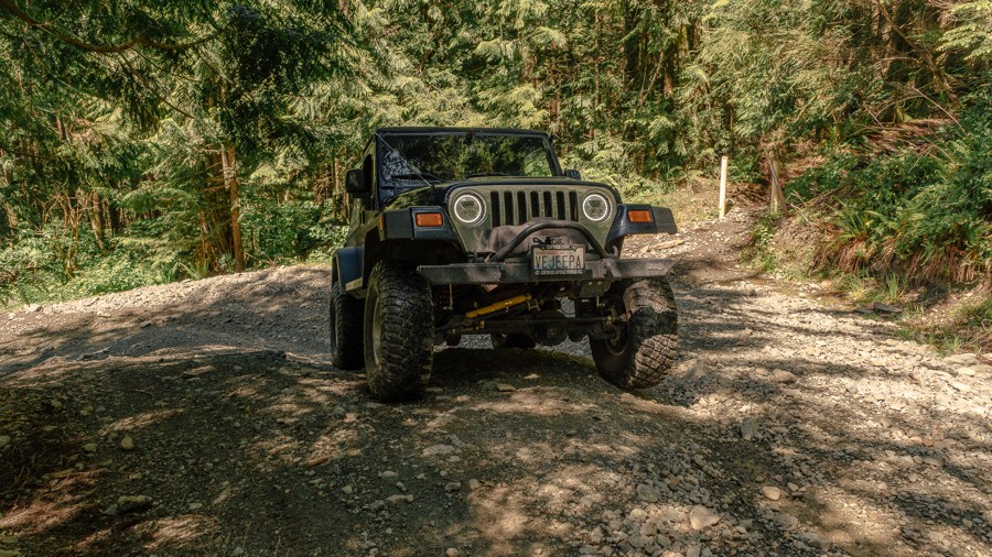 Humps and Bumps Trail Review Photo