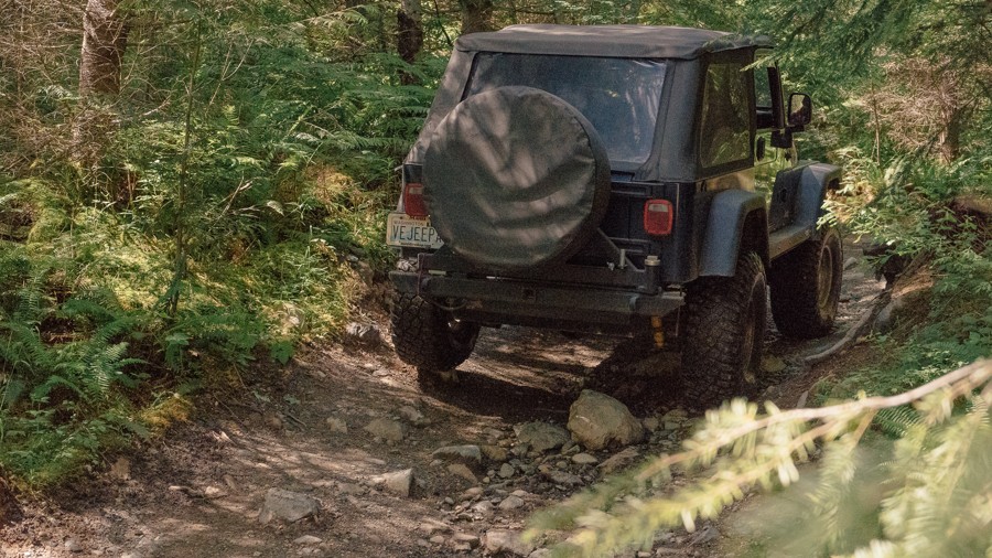 Around the Sound Trail Review Photo