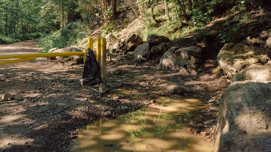 WV-05 Trail Review Photo