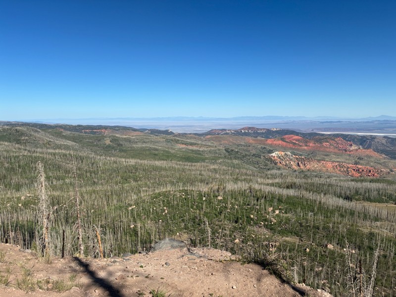 Second Left Hand Canyon Trail Review Photo