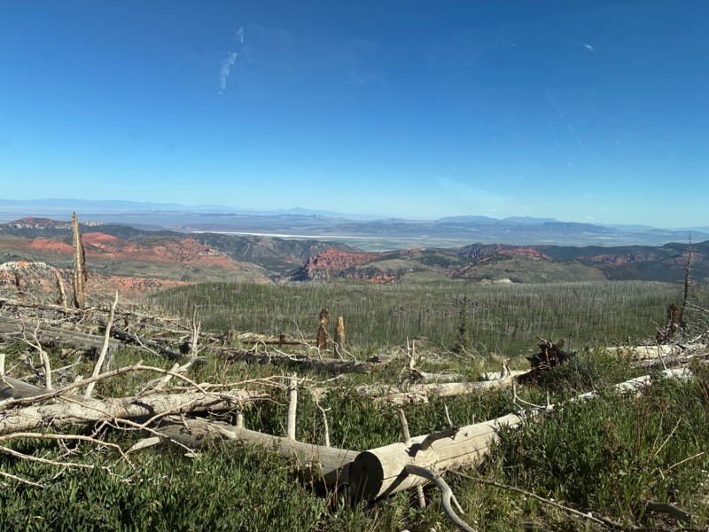 Second Left Hand Canyon Trail Review Photo