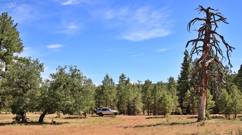 Arizona: FR 226 Hero Photo