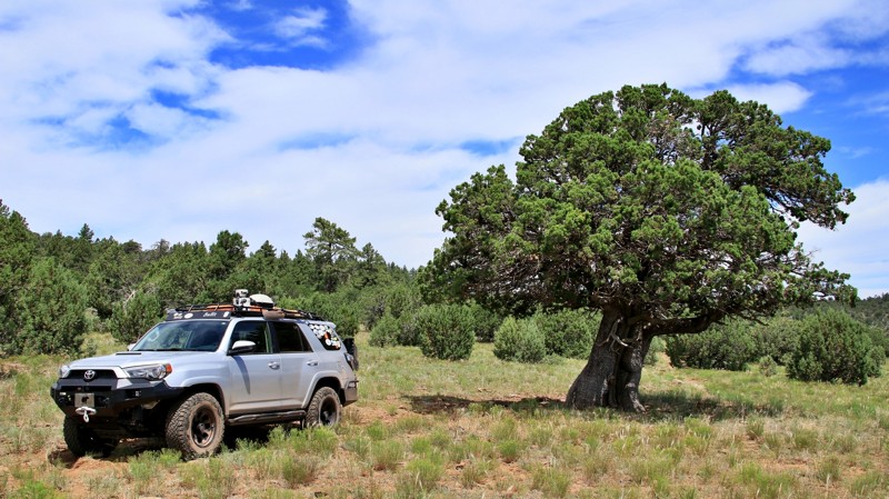 Arizona: FR 9496F Hero Photo