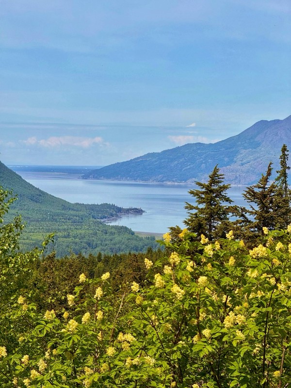 Palmer Creek Road Trail Review Photo
