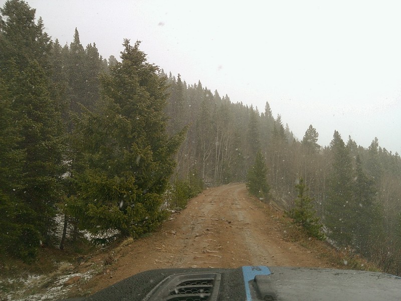 Rollins Pass East Trail Review Photo