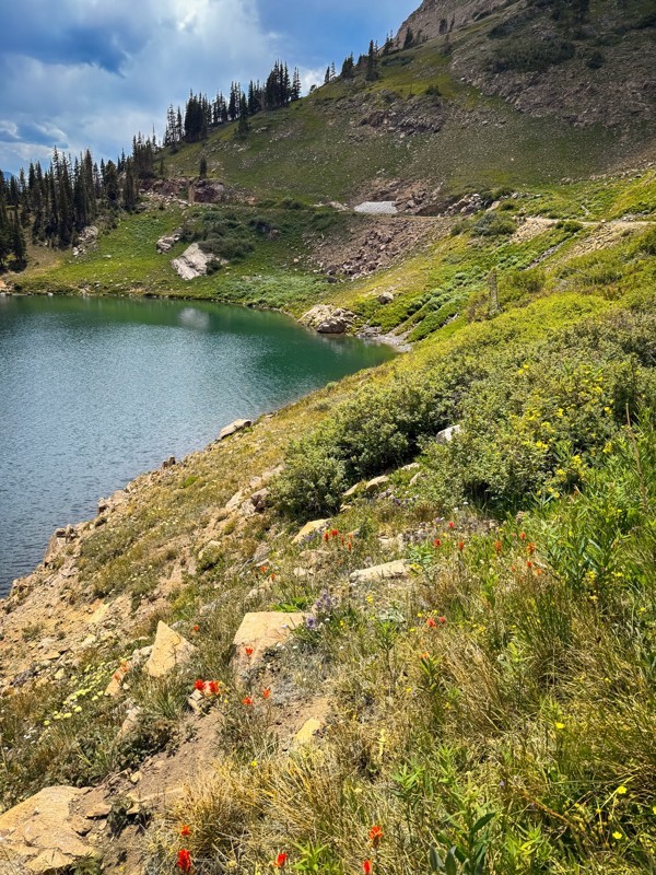 Rollins Pass East Trail Review Photo