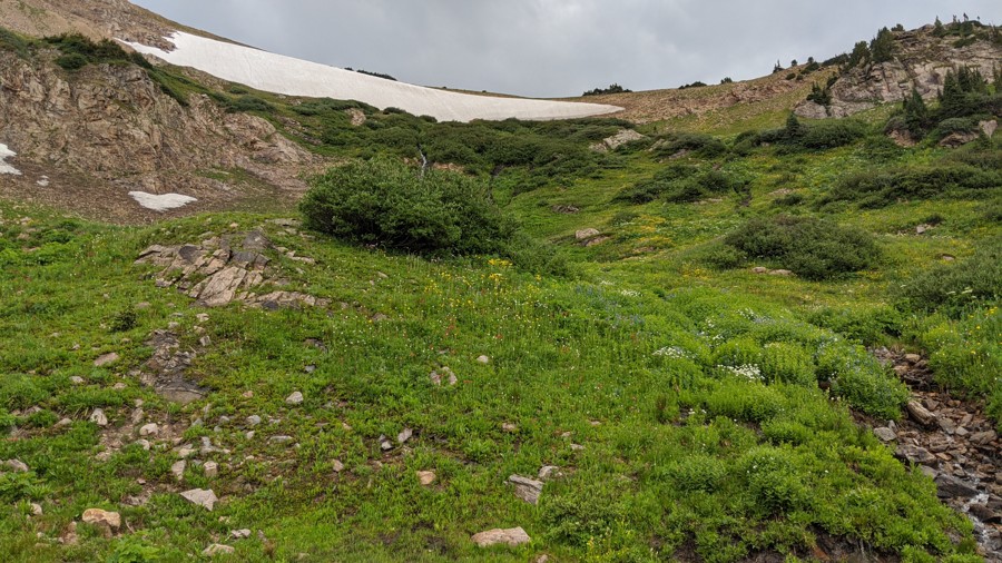 Trail Review: Rollins Pass East - Adam Martin
