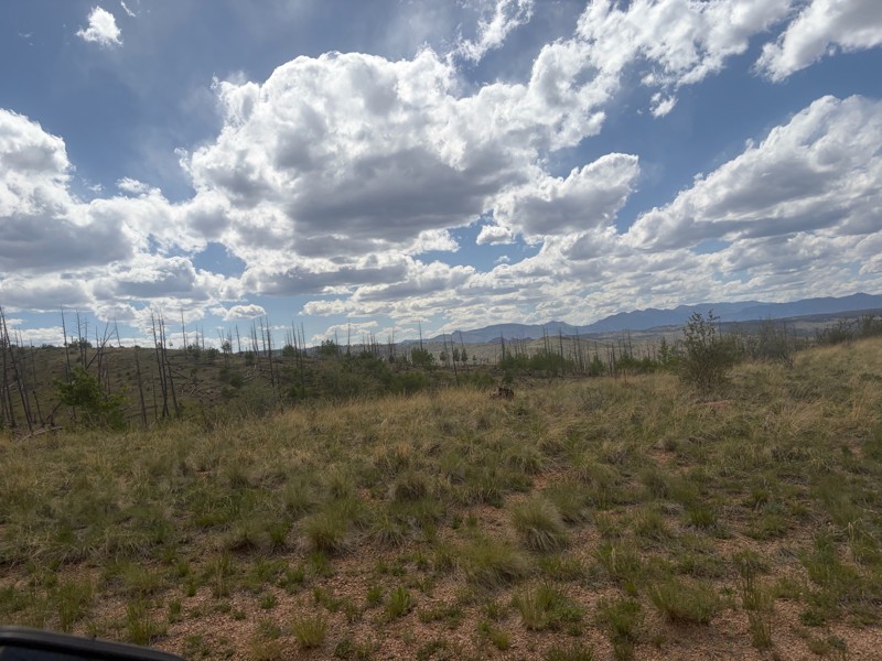 Rule Ridge Road Trail Review Photo