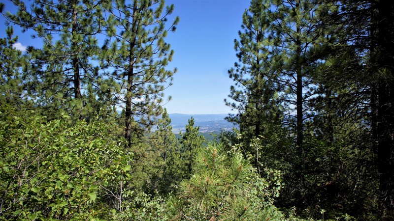 Idaho: Wash Creek Ridge Spur  Hero Photo