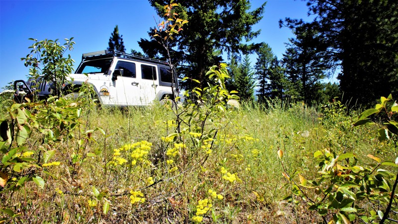 Idaho: Wash Creek Ridge Hero Photo