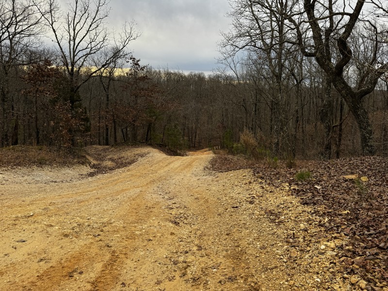 Turkey Bay OHV Primary Yellow 01 Trail Review Photo