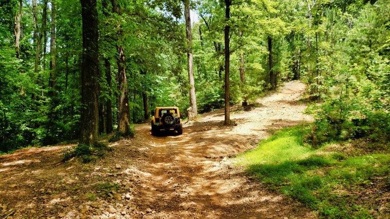 Turkey Bay OHV Primary Yellow 01 - Waypoint 4: Unknown Spurs - Stay Straight