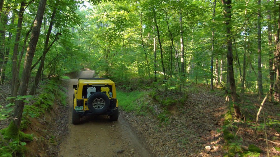 Turkey Bay OHV Primary Yellow 02 Trail Review Photo