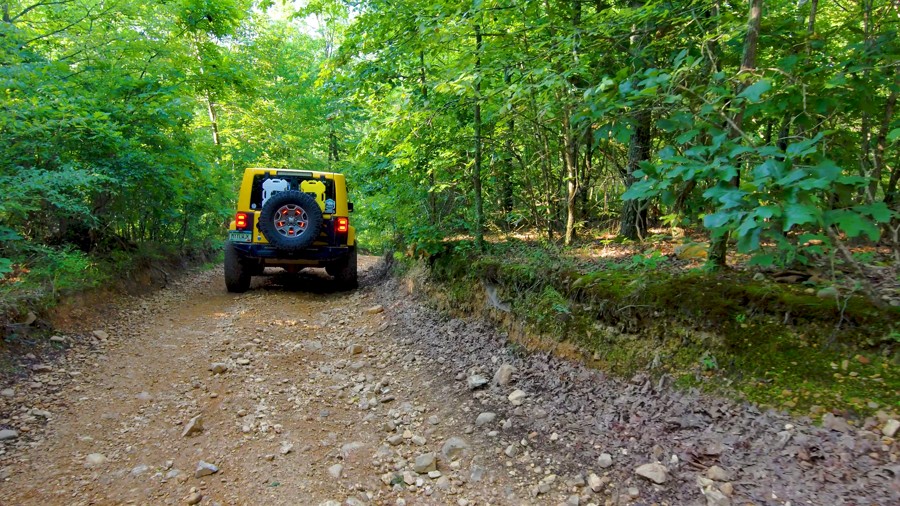 Turkey Bay OHV Primary Yellow 04 Trail Review Photo