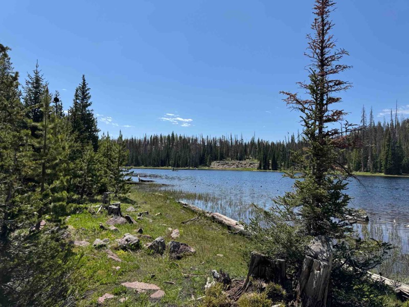 Iron Mine Lake Trail Review Photo