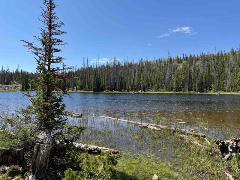 Iron Mine Lake Trail Review Photo