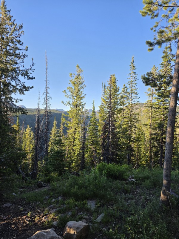 Iron Mine Lake Trail Review Photo