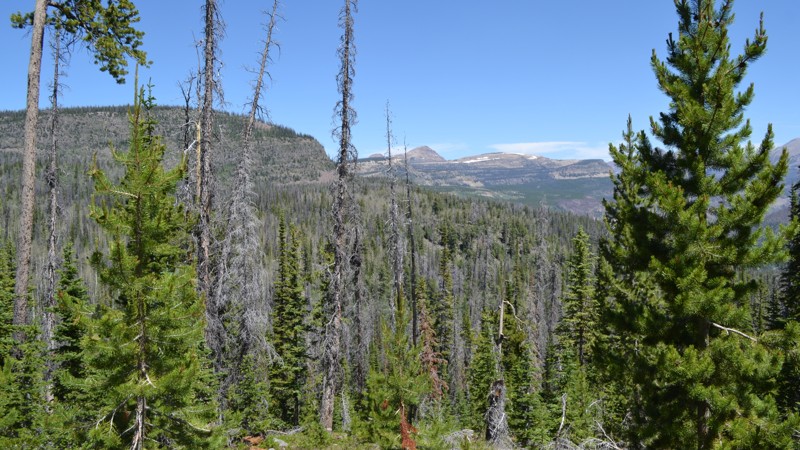 Utah: Cobble Creek Hero Photo